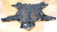 Full Tanned Black Bear Hide Taxidermy
