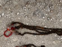 Chain Sling Franklin TX