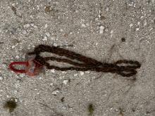 Chain Sling Franklin TX