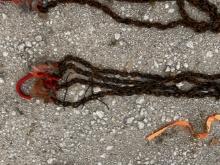 Chain Sling Franklin TX