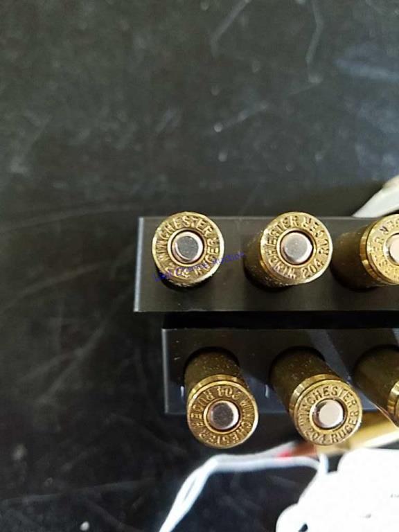 20 Rounds of .204 Ruger
