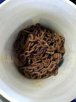 Bucket of Meduim Duty Chains