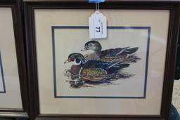 Framed Wood Ducks and Mallards