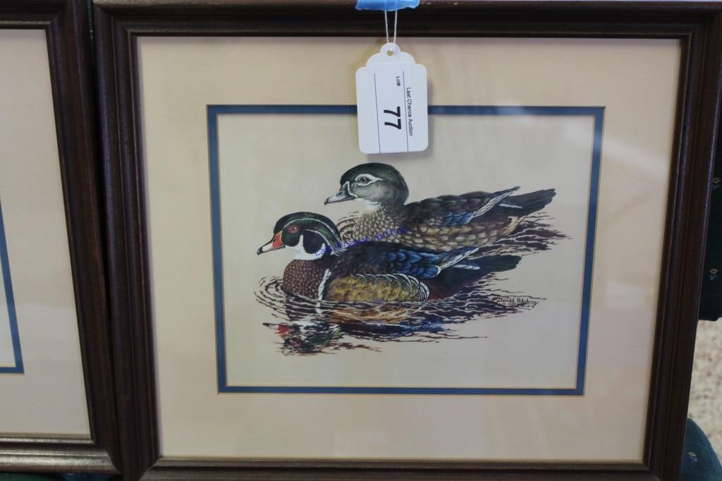 Framed Wood Ducks and Mallards