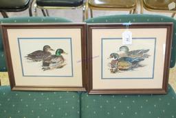 Framed Wood Ducks and Mallards