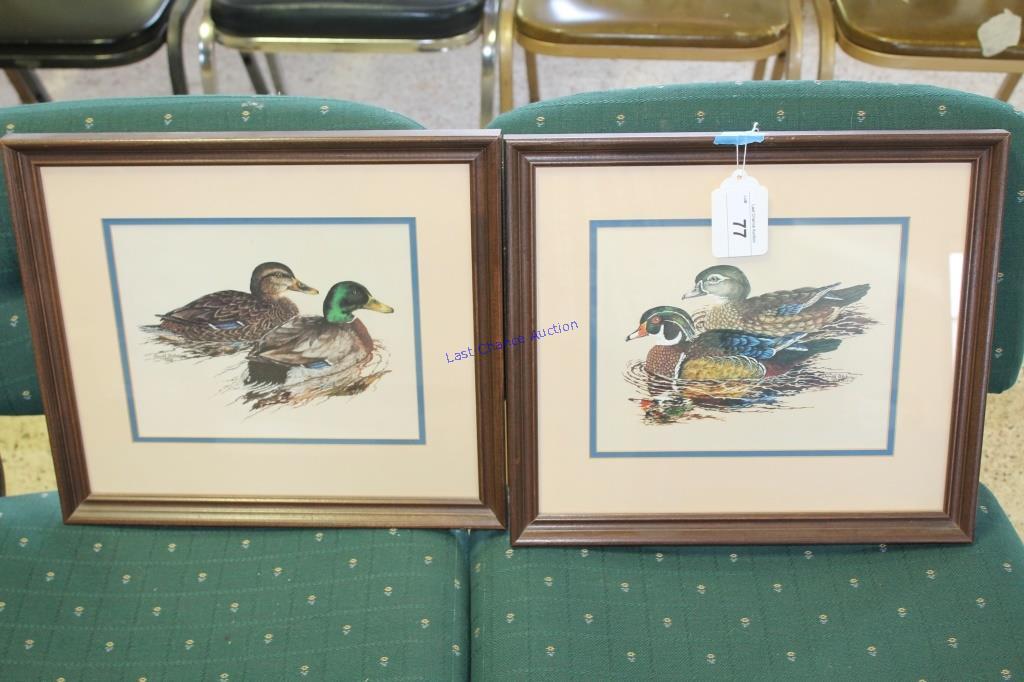Framed Wood Ducks and Mallards