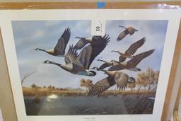 "Autumn Wings" by Mark Anderson