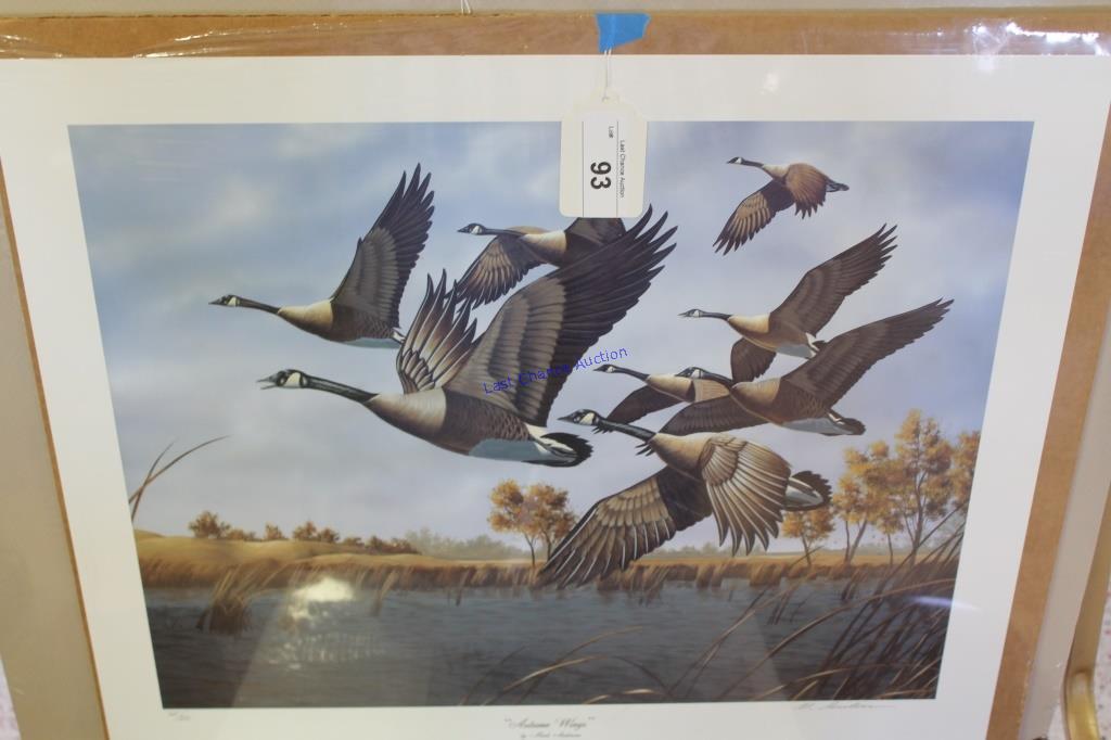 "Autumn Wings" by Mark Anderson