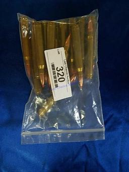 20ct 300 Win Mag Reload