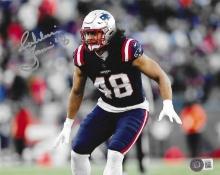 Jehlani Tavai New England Patriots Autographed 8x10 Photo Hologram