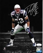 Ted Johnson New England Patriots Autographed 8x10 Photo coa
