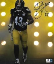 Troy Polamalu Pittsburgh Steelers Autographed 8x10 Photo coa