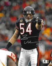 Brian Urlacher Chicago Bears Autographed 8x10 Photo coa