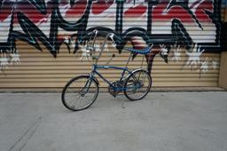 Schwinn Fastback Bicycle