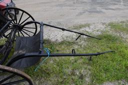 Amish Buggy