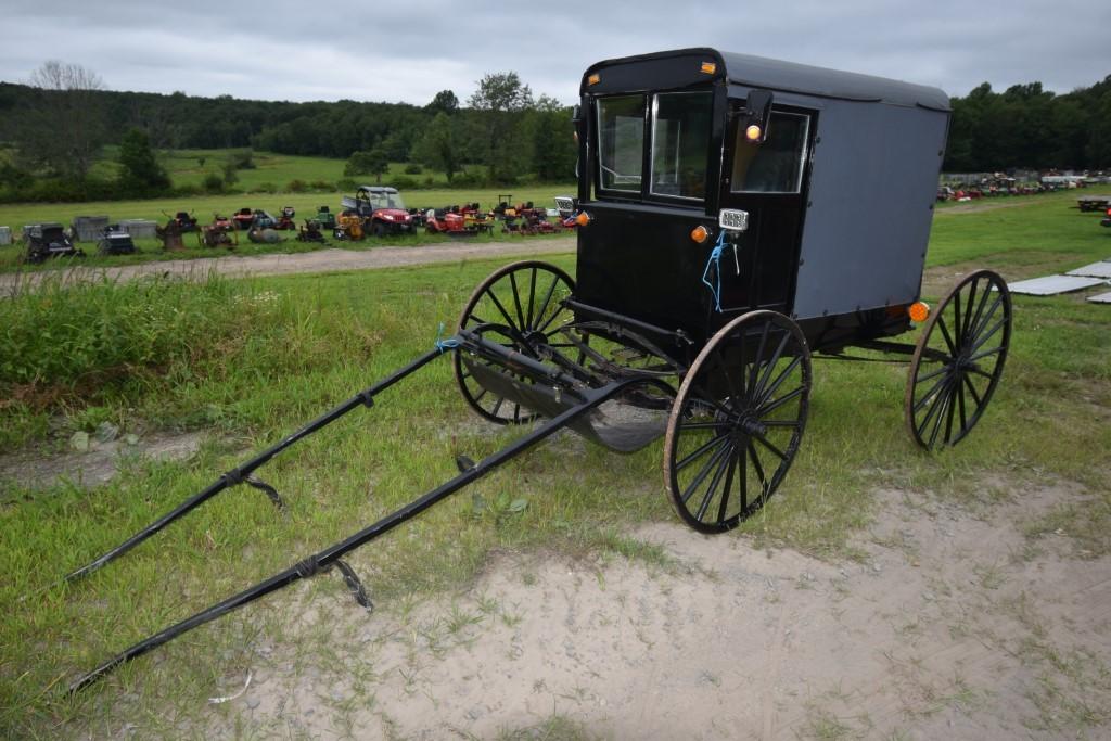 Amish Buggy
