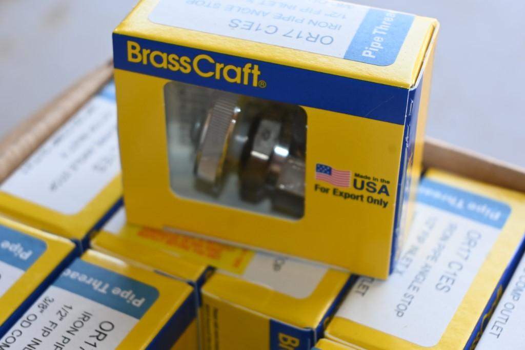20 BrassCraft OR17 C1ES Iron Pipe Angle Stops