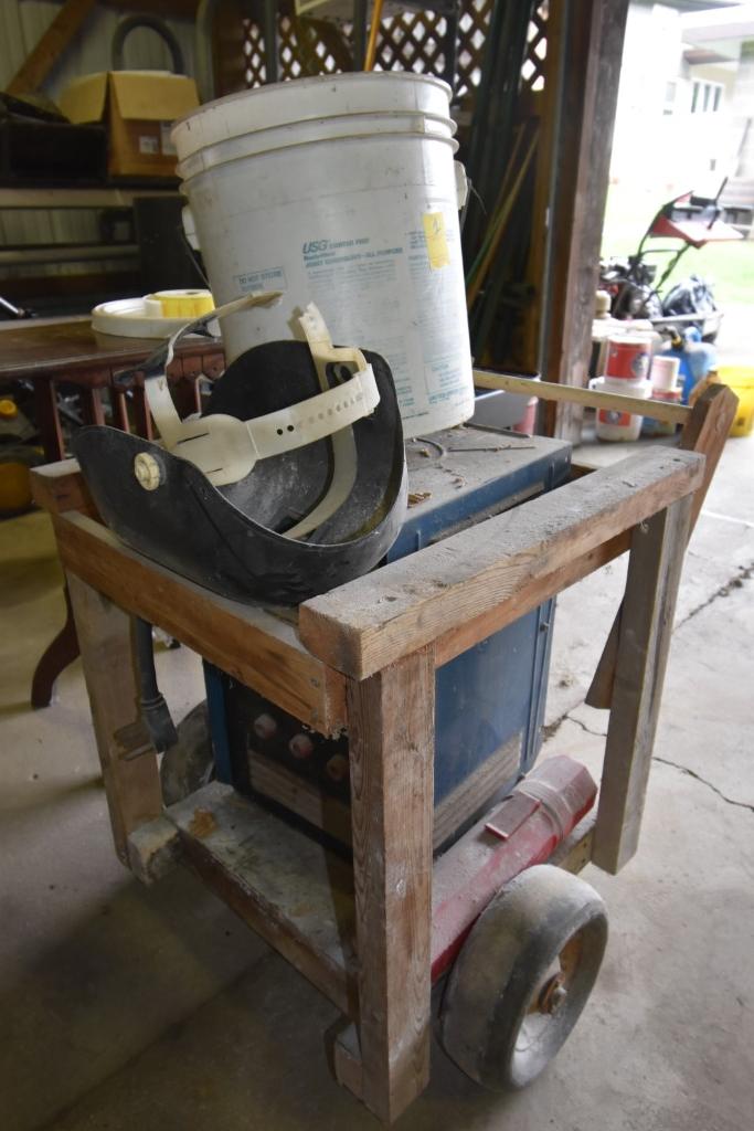 Miller Thunderbolt 225A Arc Welder