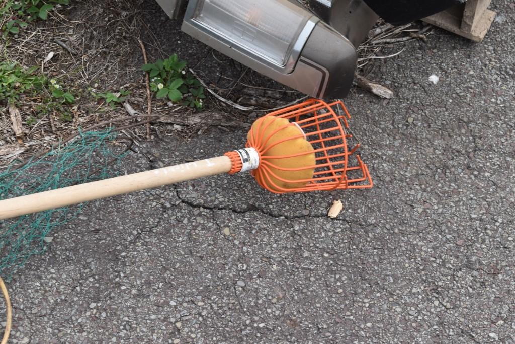 Pallet of Hand Tools