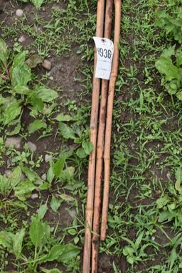 3 15' Bamboo Rods