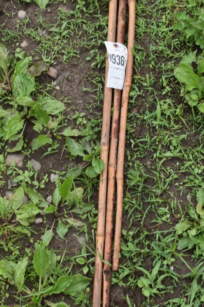 3 15' Bamboo Rods