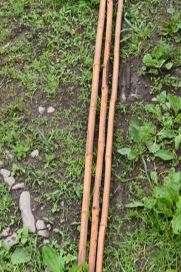 3 15' Bamboo Rods