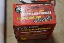 Extreme Magna Power power Sports Battery