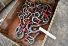 New Shackle and Pins