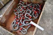 New Shackle and Pins