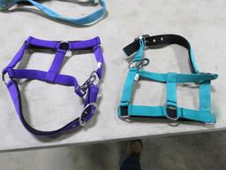 HALTERS