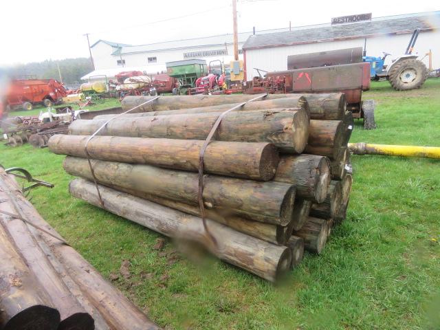 FENCE POST - THIS IS 20 TIMES THE BID