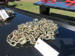 NEW G70 RATED 5/16 DOUBLE HOOK CHAIN 20FT