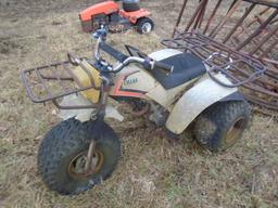 Yamaha 3 Wheeler