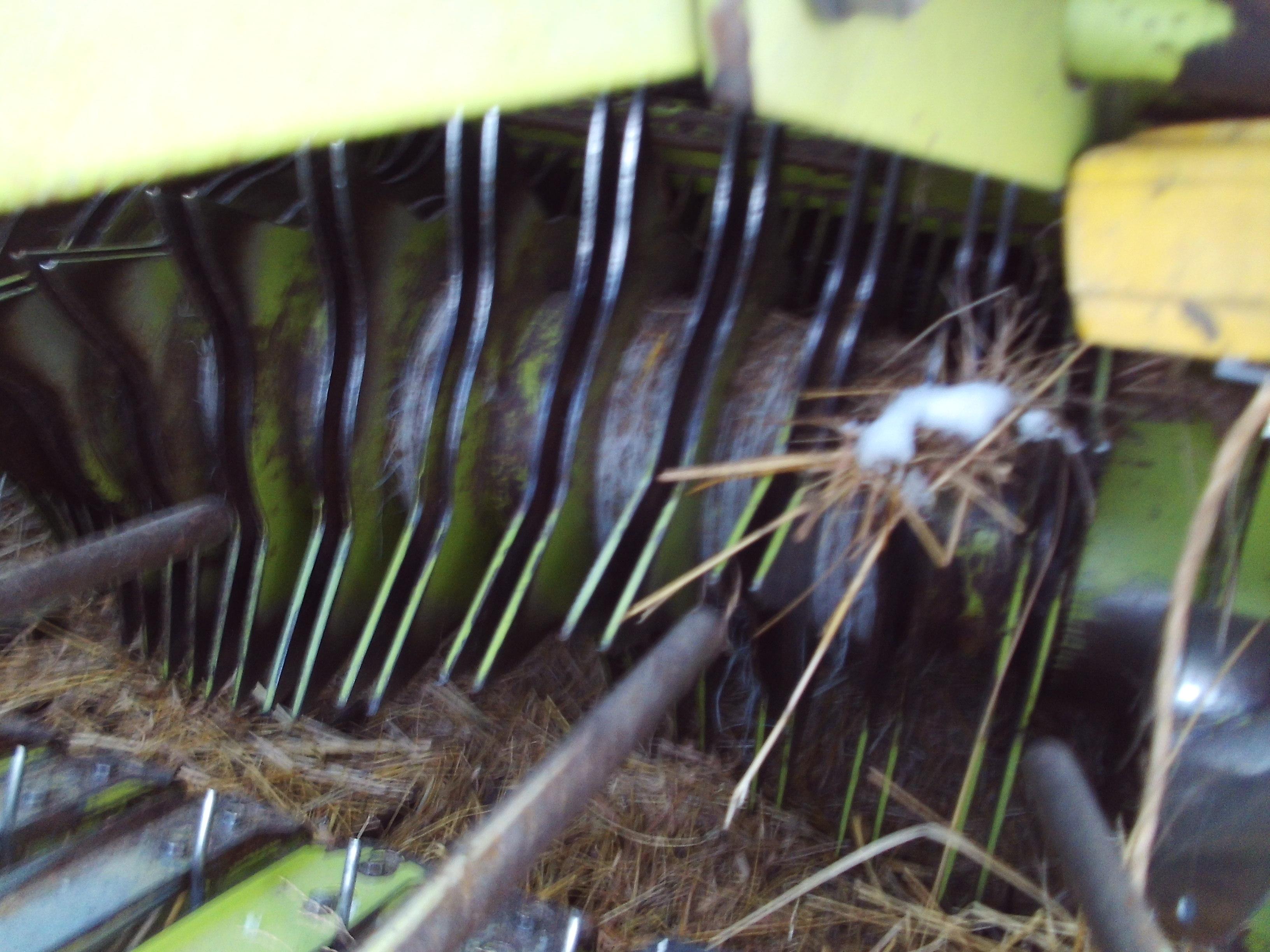 Claas Rollant 46 Round Baler w/ Rotocut, Good Working Baler That Made A Lot