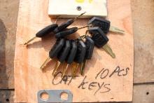 10 Piece Cat Equipment Key Set