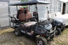 IRGC80 Electric 2 Seat Golf Cart, Roof & Windshield, Deluxe Display Screen