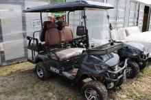 IRGC80 Electric 2 Seat Golf Cart, Roof & Windshield, Deluxe Display Screen