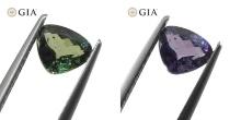 Dazzling 0.79 Ct GIA Certified Natural Alexandrite