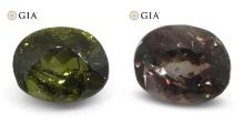 Rare 0.95 Ct GIA Certified Natural Alexandrite