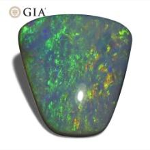 Huge Rare 8.01 Ct GIA Certified Natural Opal