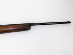 (R) STEVENS 53 C BUCKHORN 22 S.L.LR.