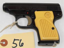(R) E R Sterling 25 Auto Pistol