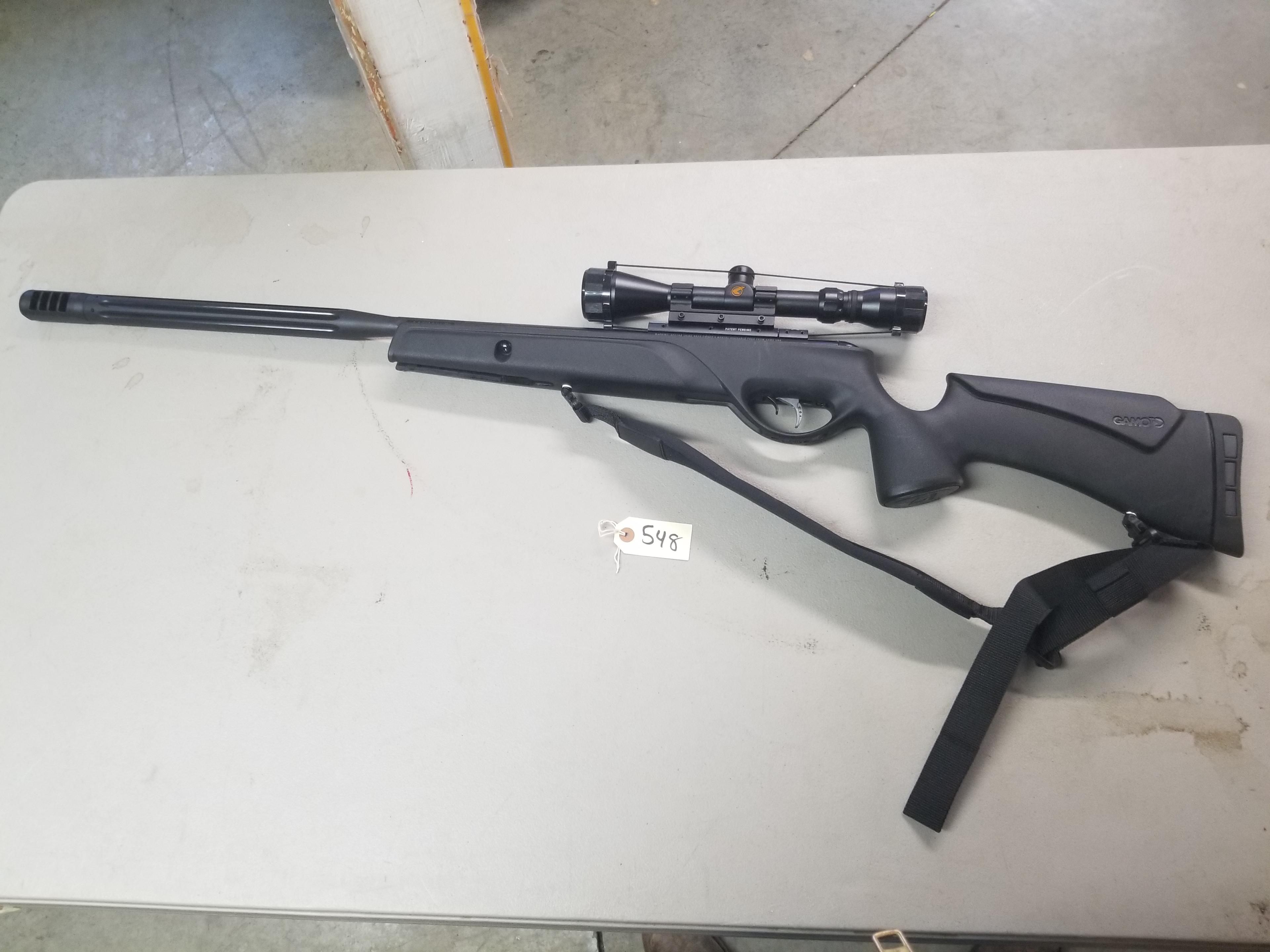 Gamo Big Cat Pellet Gun