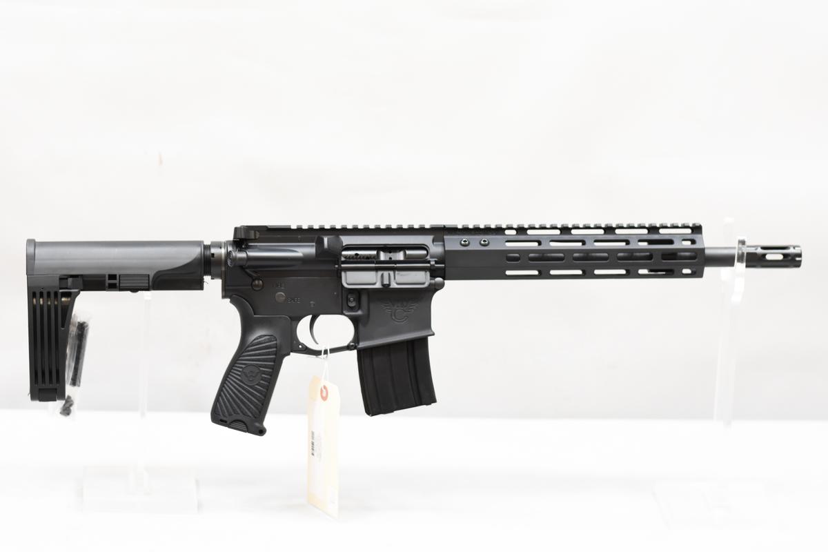 (R) Wilson Combat Protector Pistol 5.56 Nato