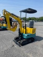 New 2024 Bigmaster DM100 Mini Excavator
