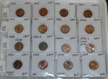 Variety: (8) Indian Cents. (7) Wheat Cents. (1) Memorial Cent.