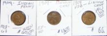 1909 Indian Cent. 1909, 1909VDB Lincoln Cents. Nice Trio!