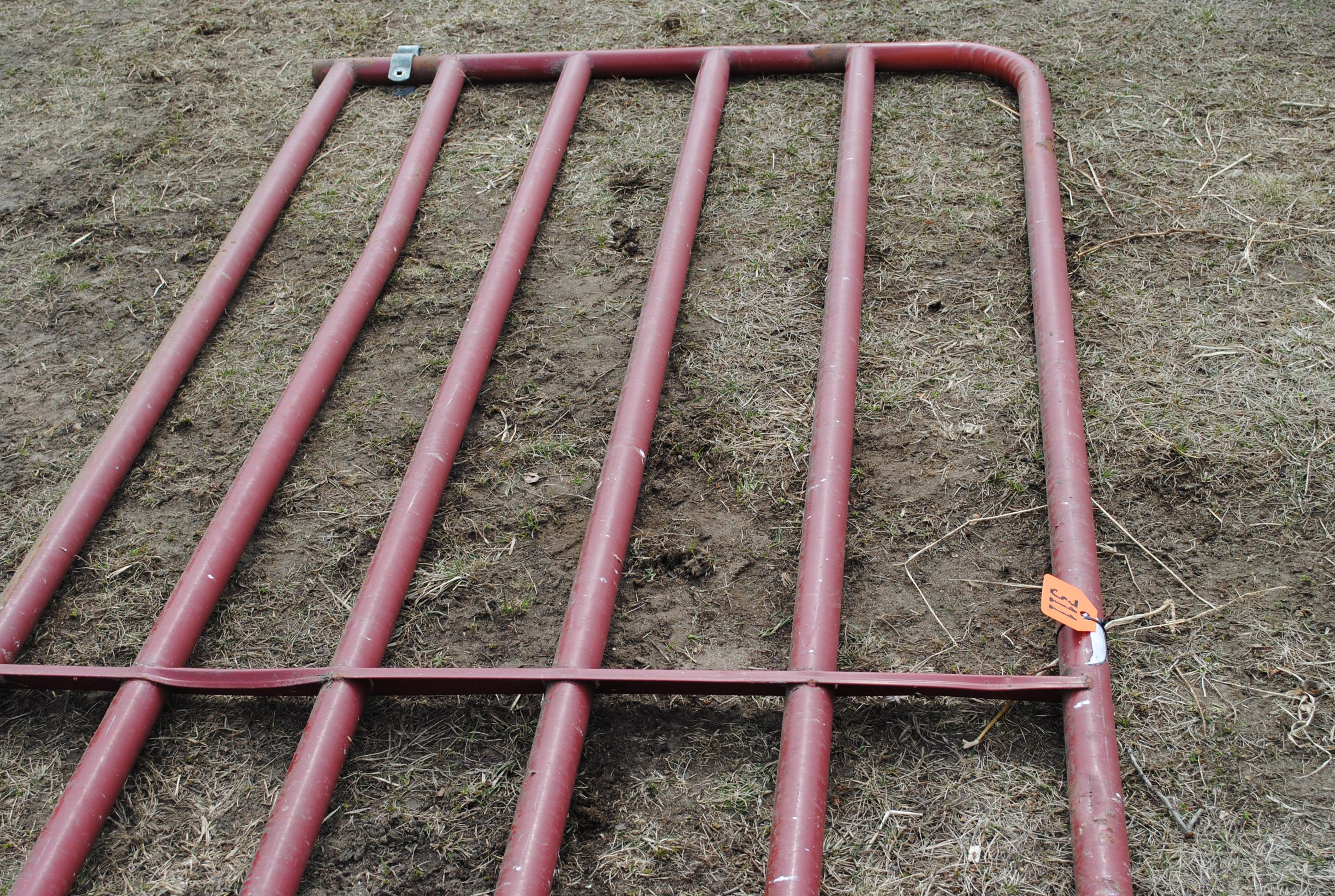 12' Pipe gate