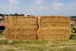 Straw Bales (sell 8 times the money)