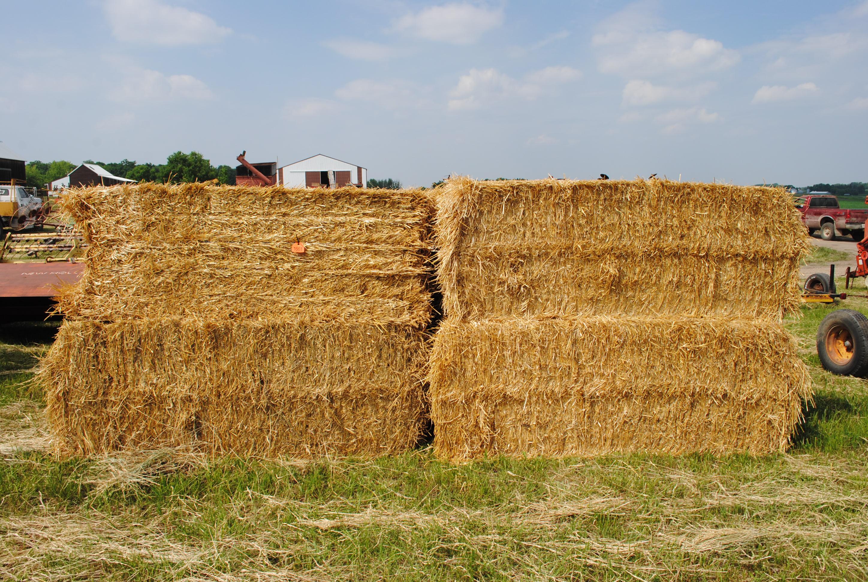 Straw Bales (sell 8 times the money)